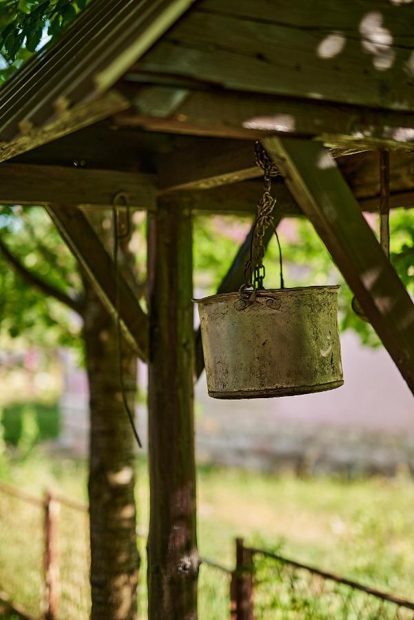 Country House Brijest コラシン エクステリア 写真